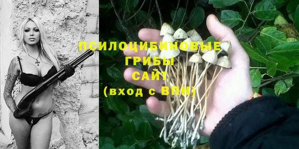 трава Дмитров