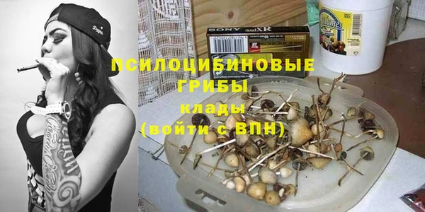 мескалин Дмитриев