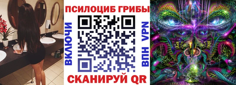 Купить где  Зубцов  Псилоцибиновые грибы мухоморы 